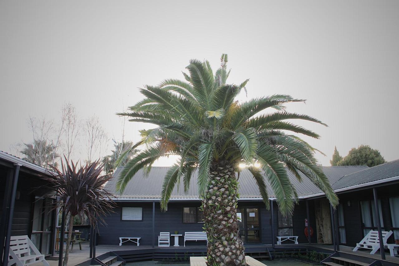 Hugo & Carters Backpackers & Motel Tauranga Zewnętrze zdjęcie The pool at the hotel